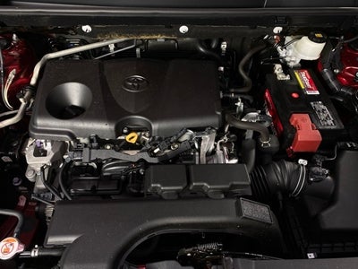2019 Toyota RAV4 XLE 4D Sport Utility